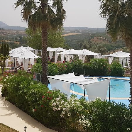 Almazara Hotel Лоха Екстериор снимка