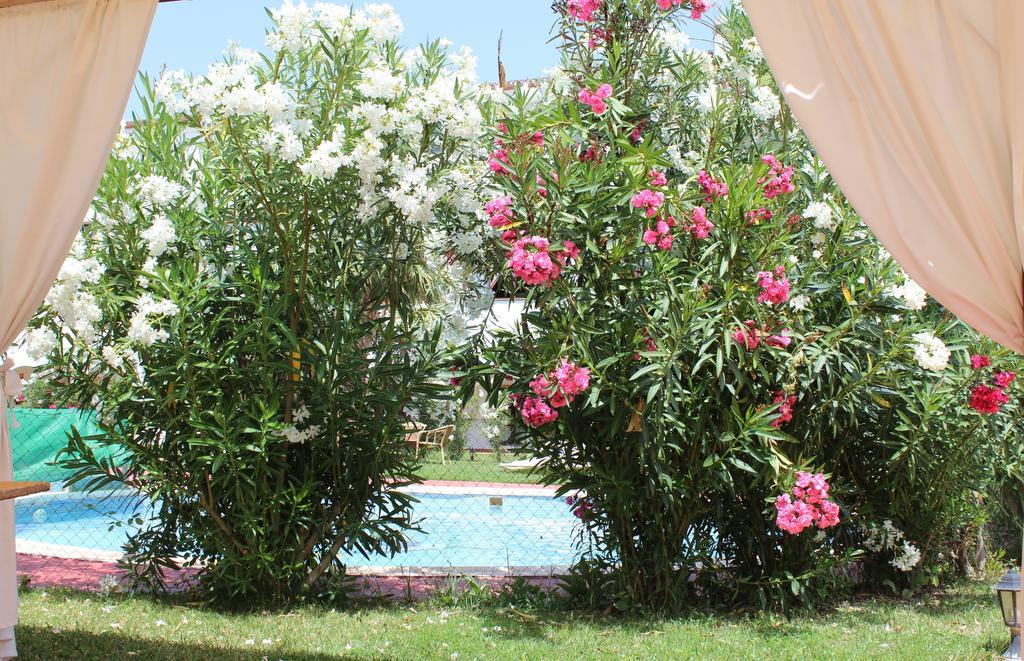 Almazara Hotel Лоха Екстериор снимка